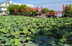 象山大塘島望海雅居農(nóng)家院